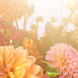 Meet your Posher, Kathryn